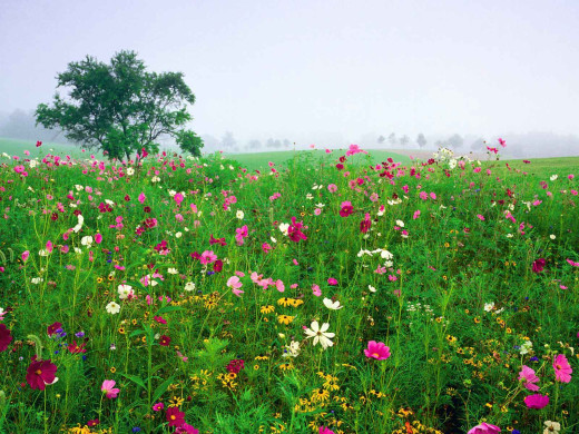 23966 (a): :1600x1200